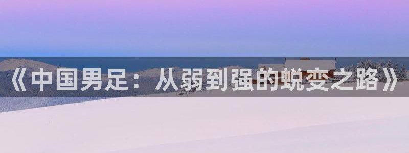 世界杯亚洲区预选赛积分榜:《中国男足:从弱到强的蜕变之路》