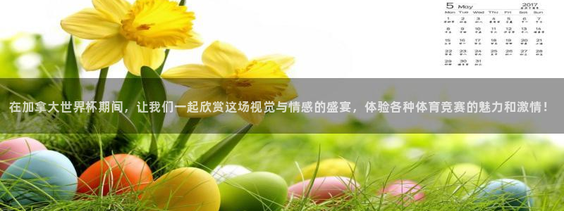 美洲杯直播:在加拿大世界杯期间,让我们一起欣赏这场视觉与情感的盛宴,体验各种体育竞赛的魅力和激情!