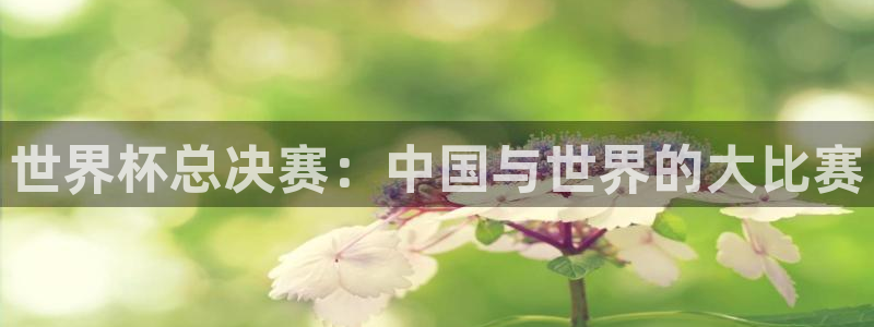 世界杯小组赛赛程:世界杯总决赛:中国与世界的大比赛