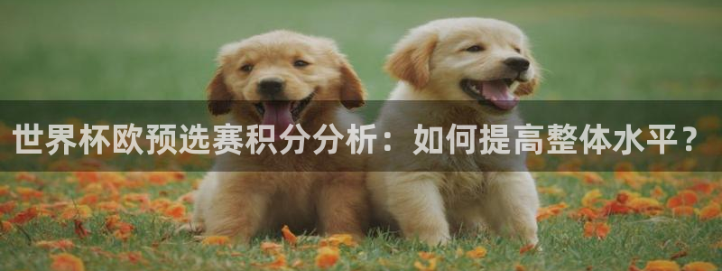 女足世界杯直播在线观看免费高清:世界杯欧预选赛积分分析:如何提高整体水平?