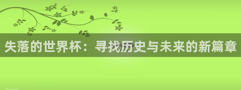 足球世界杯赛程:失落的世界杯:寻找历史与未来的新篇章