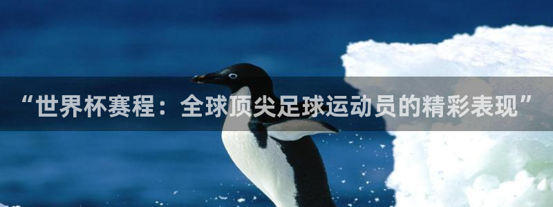 世预赛直播:“世界杯赛程:全球顶尖足球运动员的精彩表现”