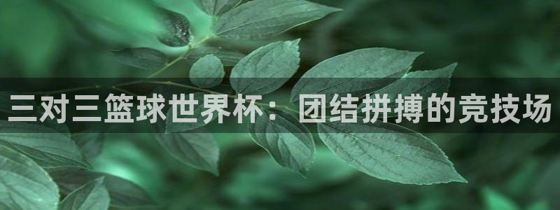 2026世界杯直播免费观看:三对三篮球世界杯:团结拼搏的竞技场