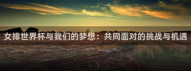 2026葡萄牙杯赛程表:女排世界杯与我们的梦想:共同面对的挑战与机遇